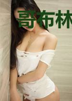 哥布林从光明圣女开始