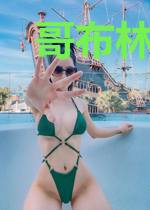 哥布林从模拟器开始进化