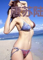 唐苏陆淮左