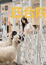 四合院之我也来凑热闹