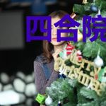 四合院之雨柱的重生