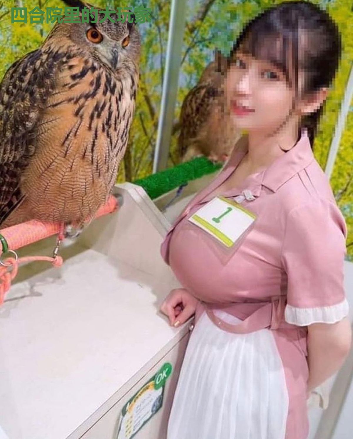 四合院里的大玩家