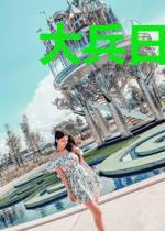 大兵日记战火英魂