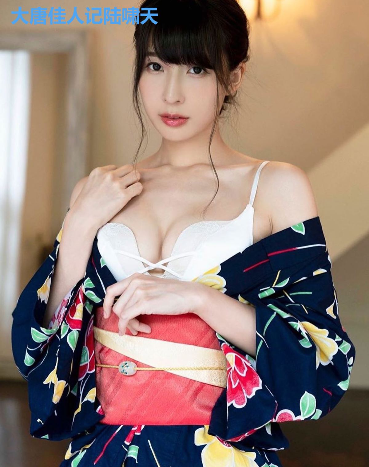 大唐佳人记陆啸天