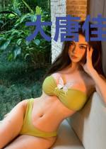 大唐佳人记陆啸天