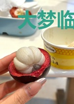大梦临天记