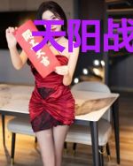 天阳战帝叶辰沈雁凡