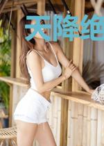 天降绝色美妻