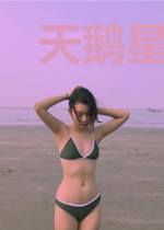 天鹅星的大人物
