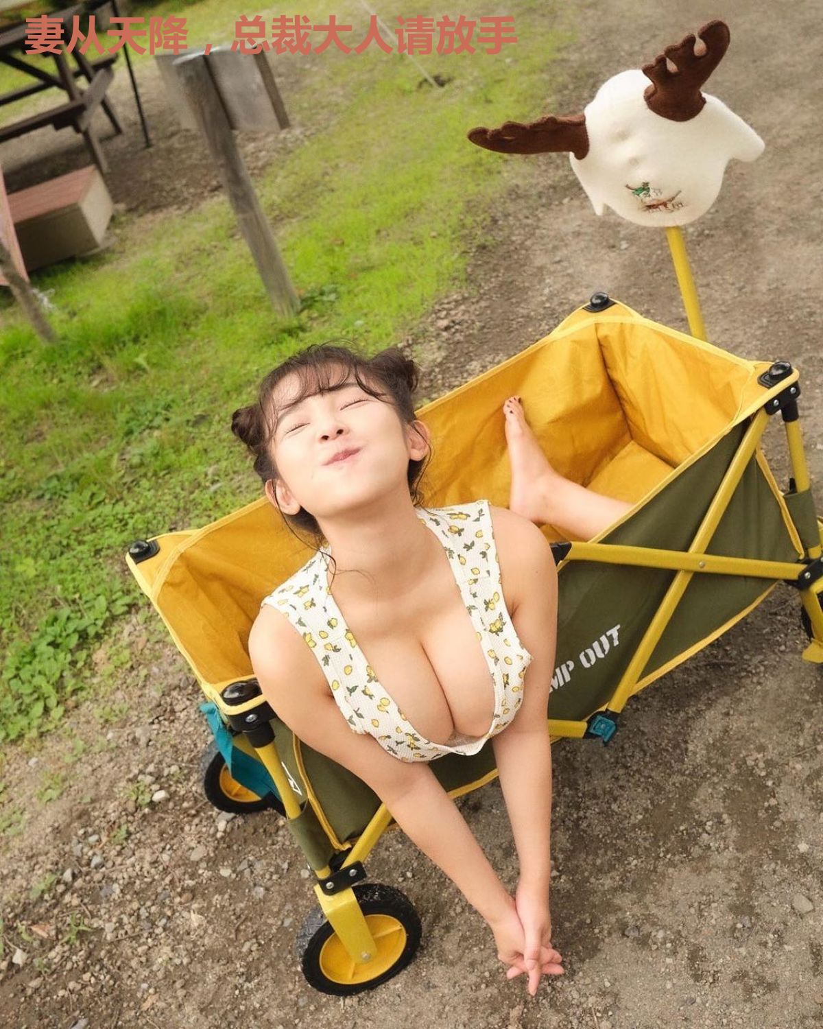 妻从天降,总裁大人请放手