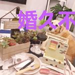 婚久不生情冷墨琛