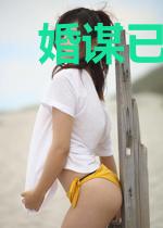 婚谋已久:顾先生,有点坏