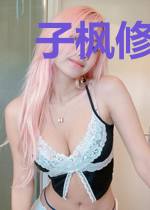 子枫修仙传