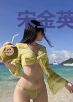宋金英烈传