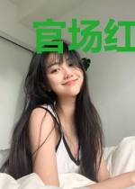 官场红人叶兴盛