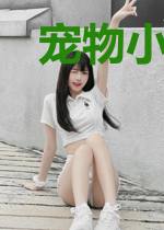 宠物小精灵之体术达人