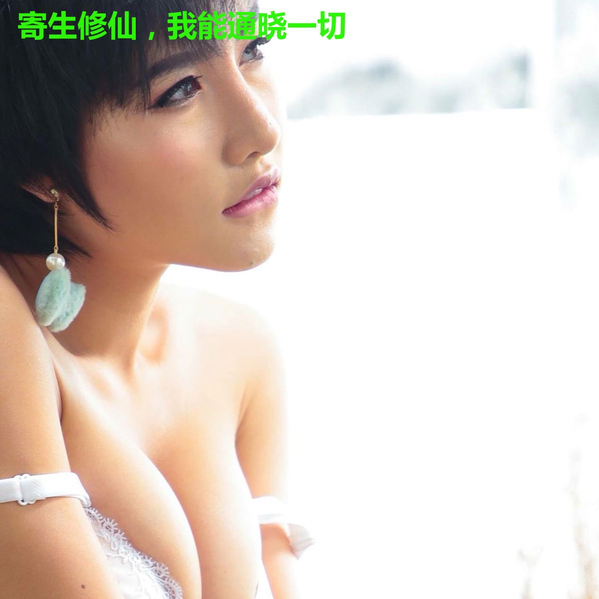 寄生修仙,我能通晓一切