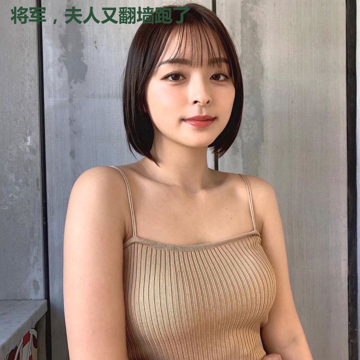 将军,夫人又翻墙跑了
