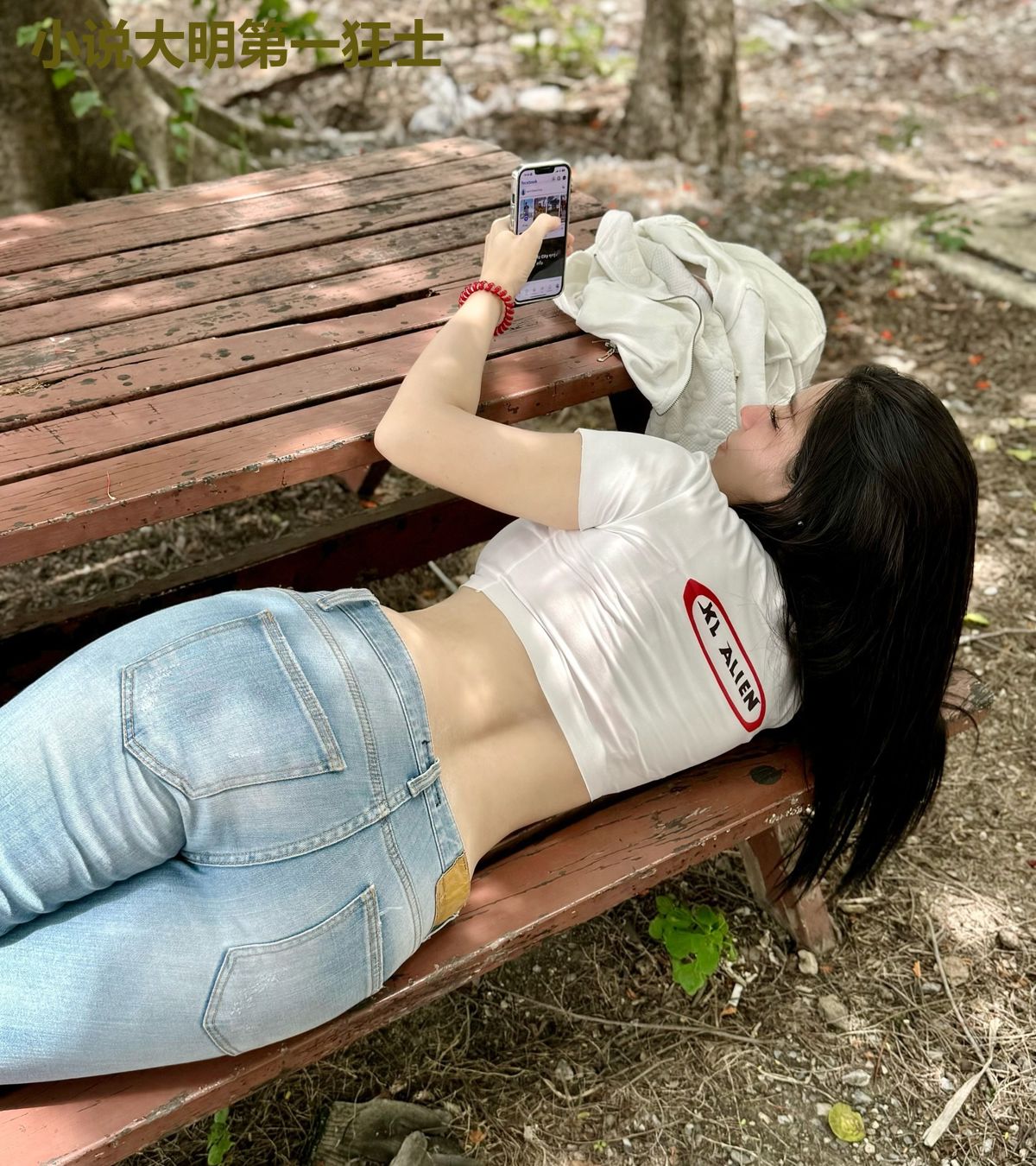小说大明第一狂士