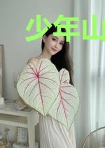 少年山医林阳于云