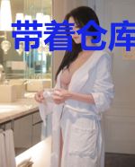 带着仓库到大明