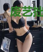 废艺拙集稿