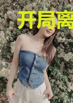 开局离婚，高冷女总裁追夫火葬场林乱