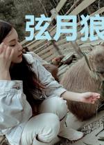 弦月狼烟情何以堪