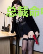 总裁命中有你