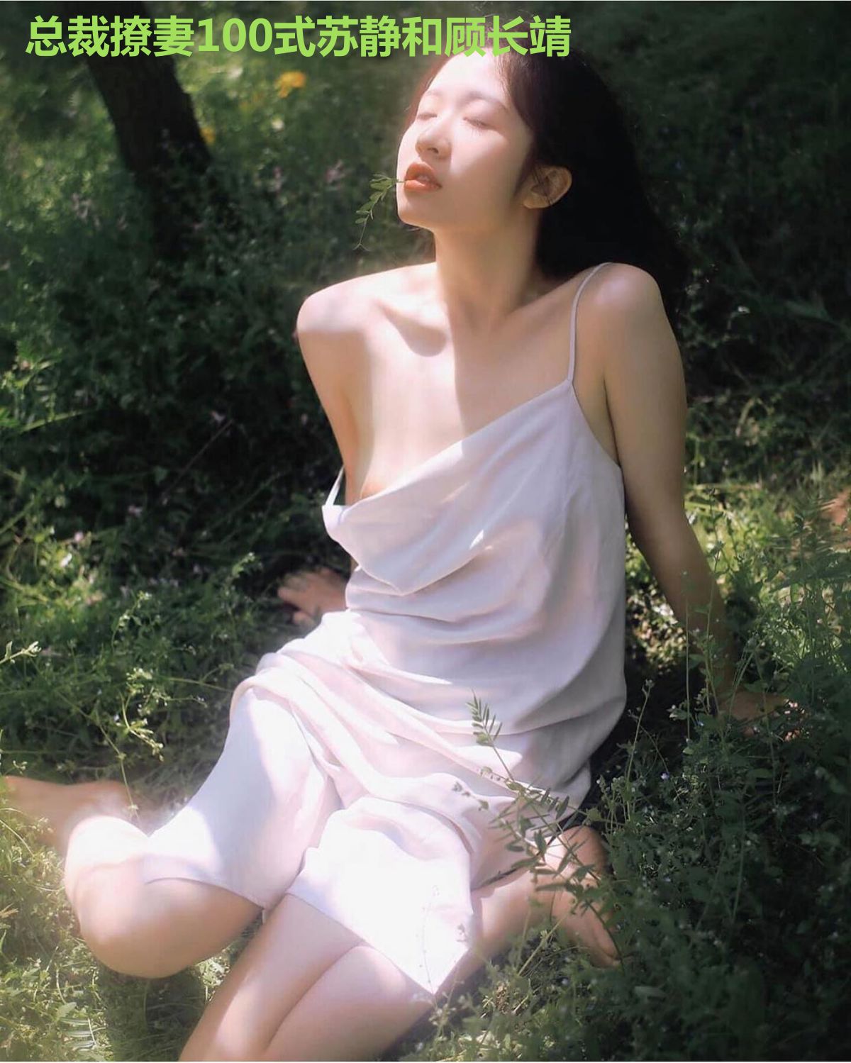 总裁撩妻100式苏静和顾长靖