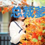 总裁爹地之后来先到