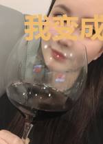 我变成了电视