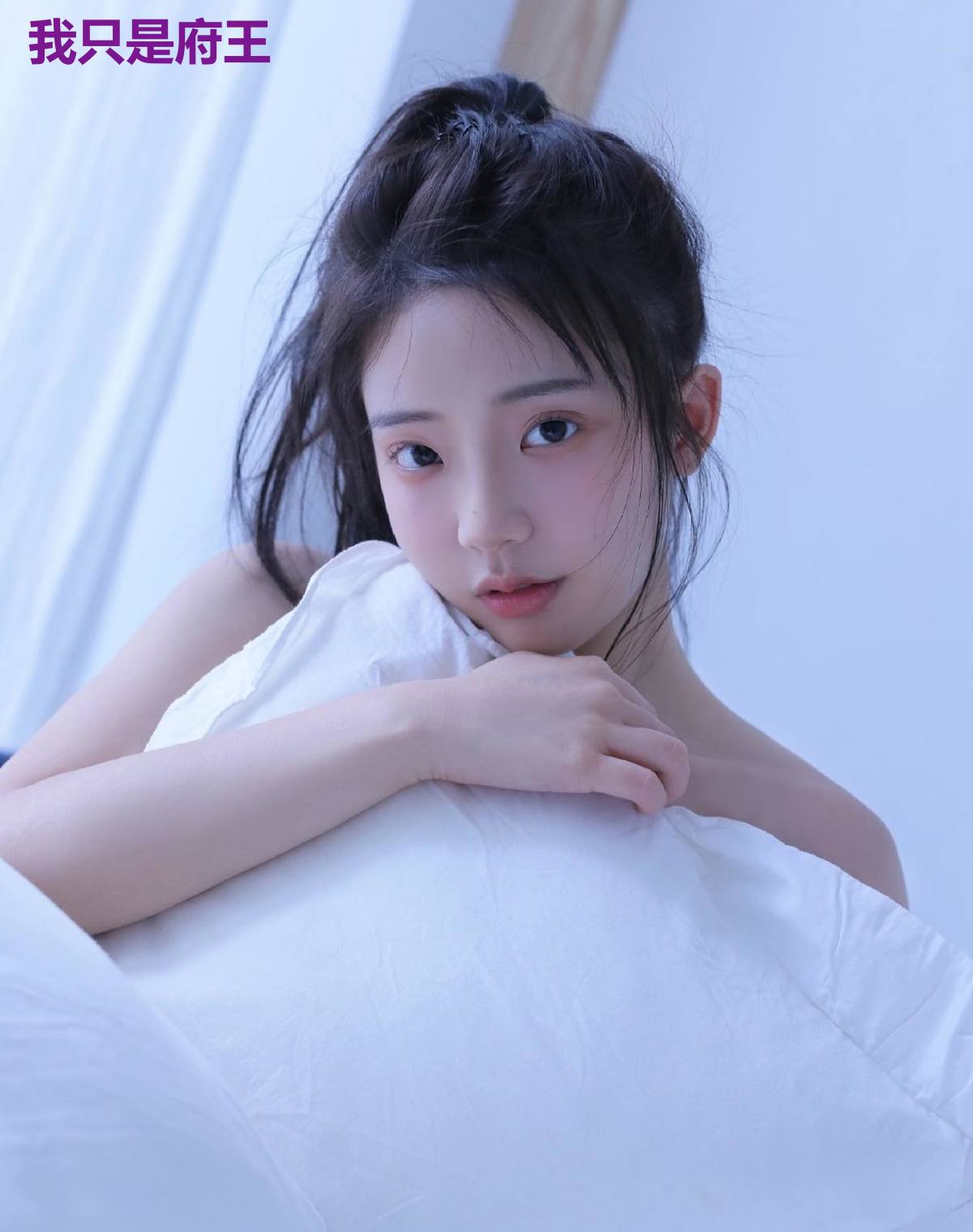我只是府王
