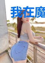 我在魔法世界搞基建