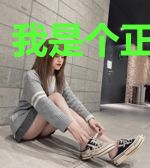 我是个正经系统
