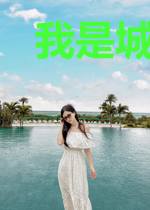 我是城主之三国