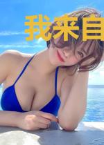 我来自1949