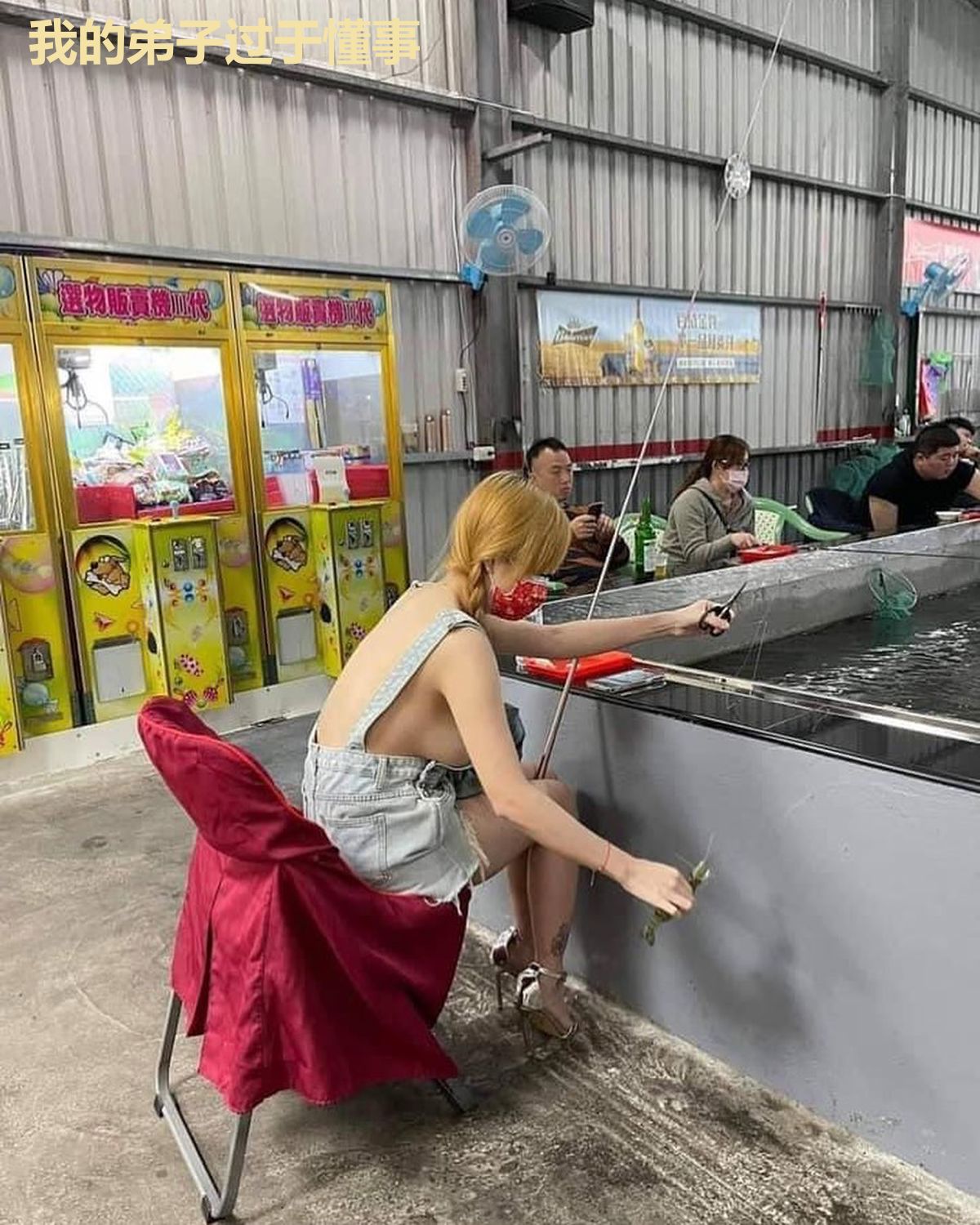 我的弟子过于懂事