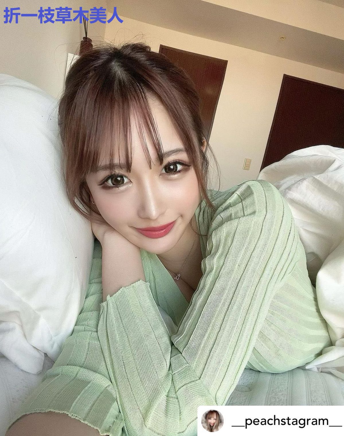 折一枝草木美人