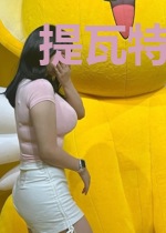 提瓦特的探究者