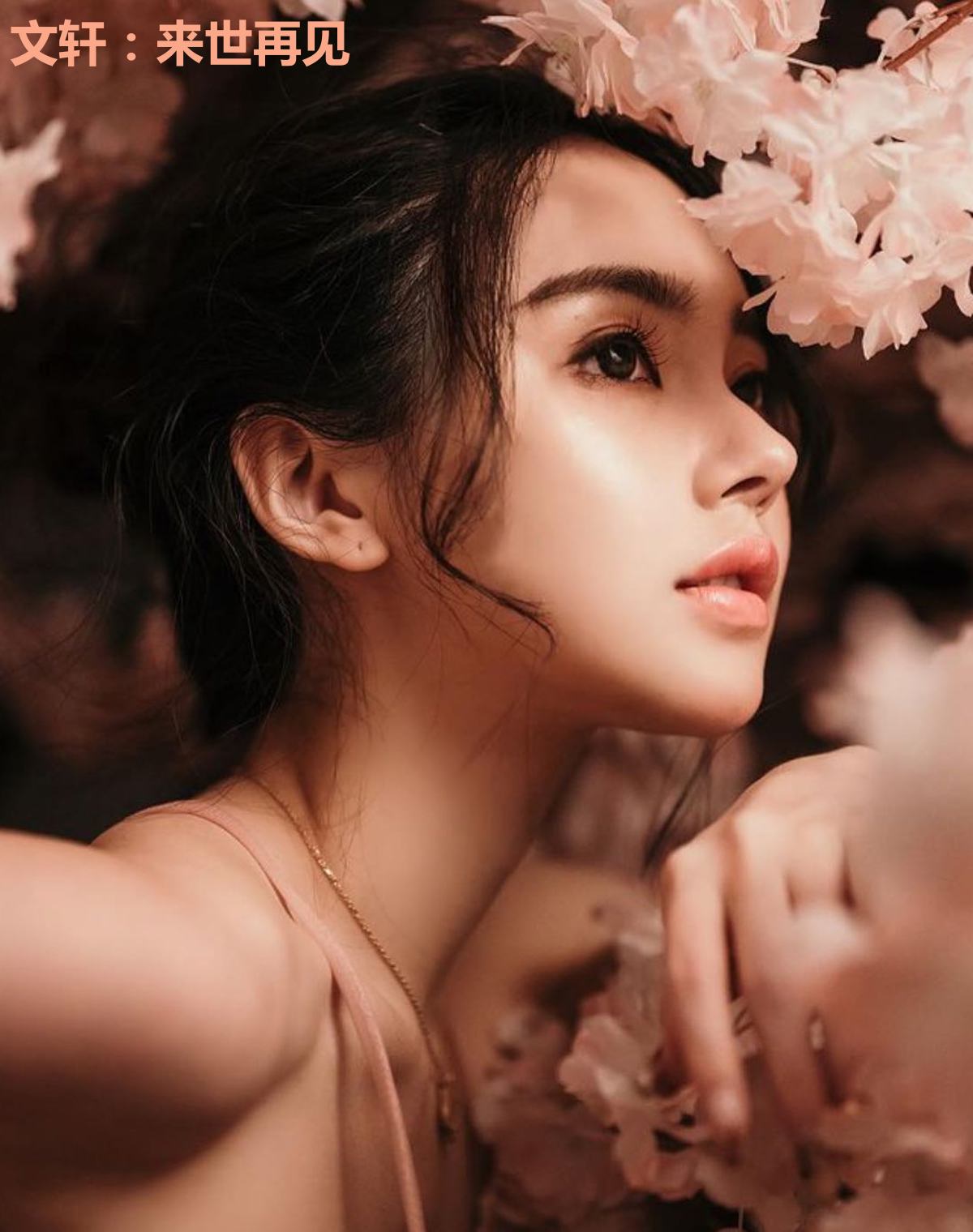 文轩：来世再见
