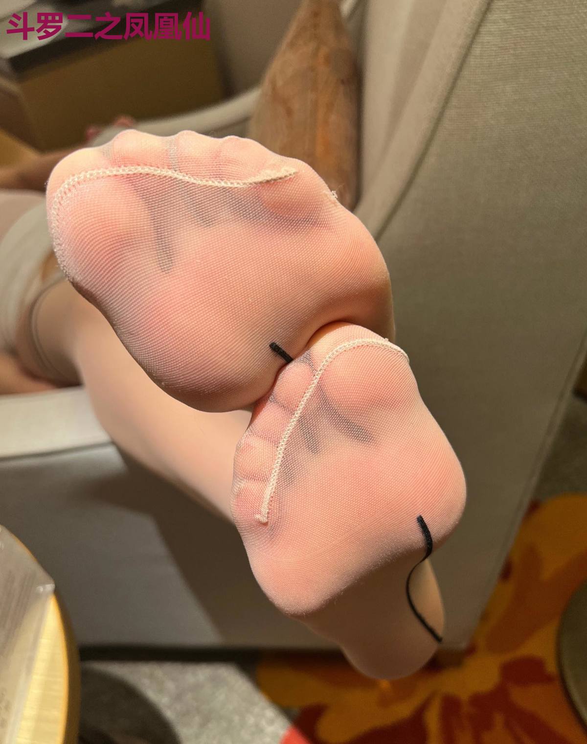 斗罗二之凤凰仙