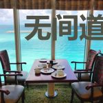 无间道：我当卧底那些年霍峻云菲