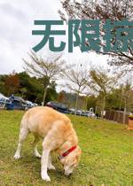 无限掠夺，超级电影工厂