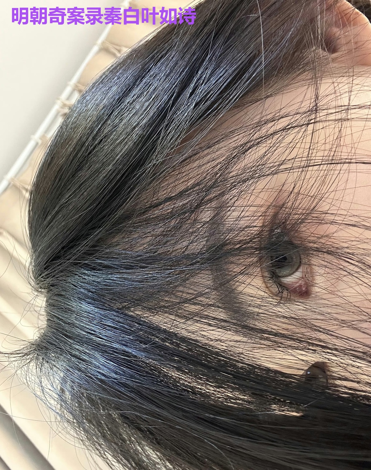 明朝奇案录秦白叶如诗
