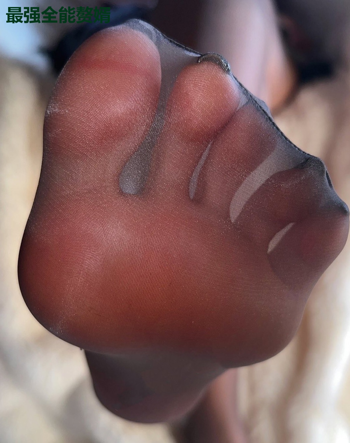 最强全能赘婿