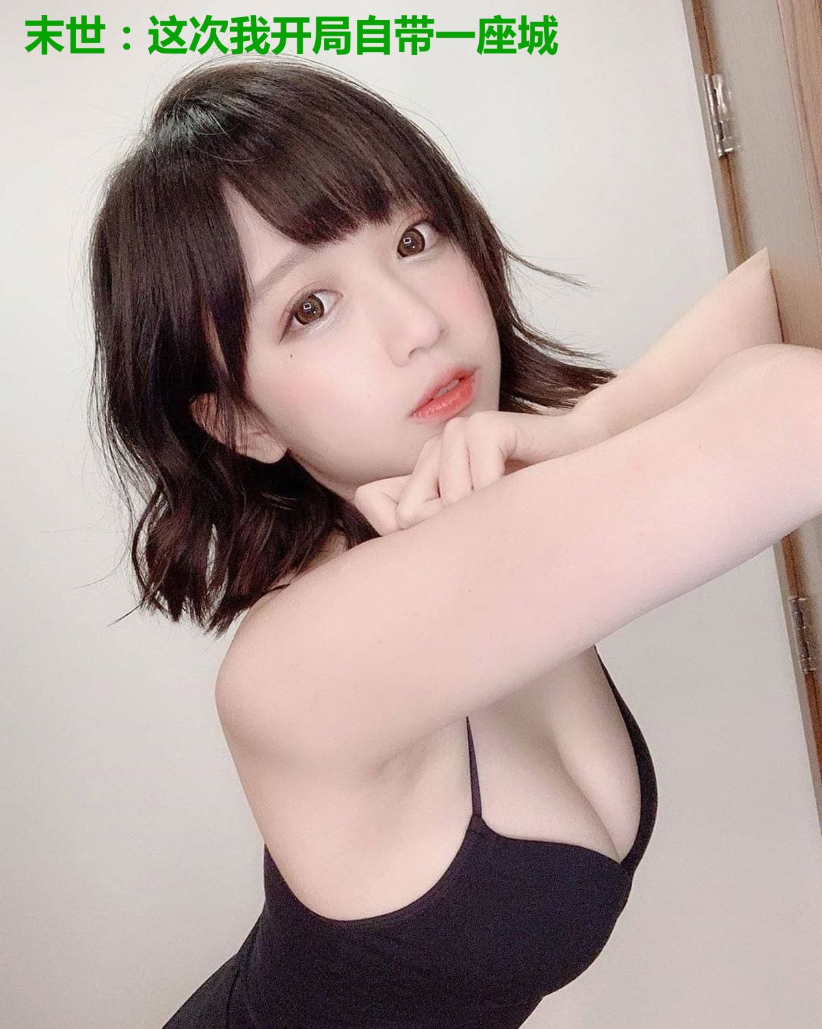末世:这次我开局自带一座城