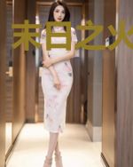 末日之火影系统