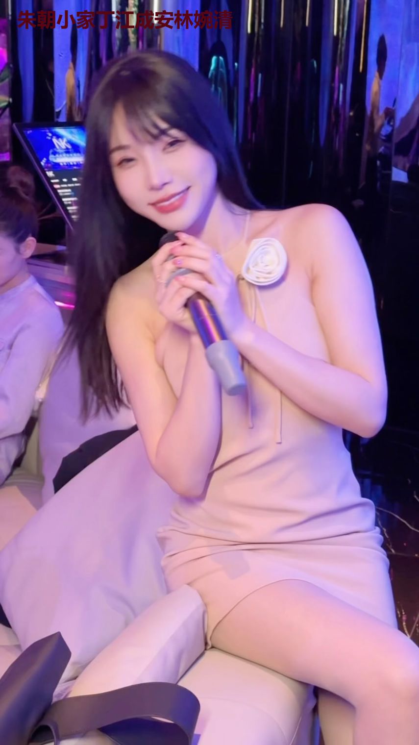 朱朝小家丁江成安林婉清