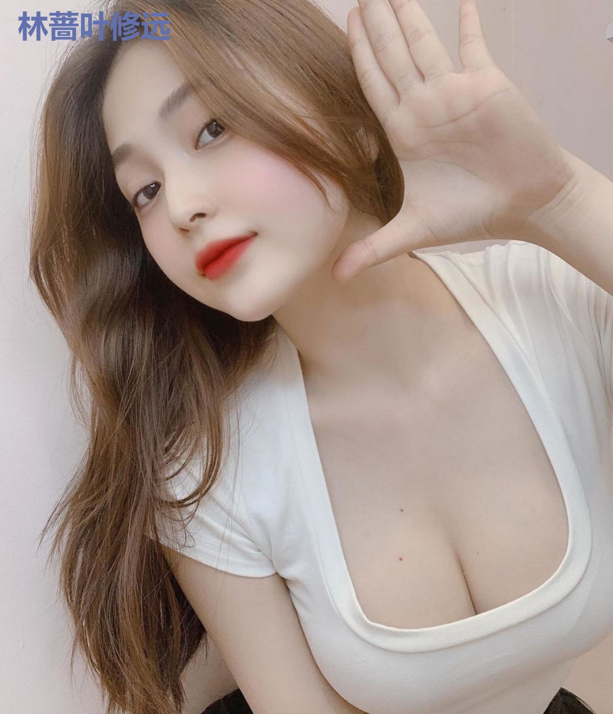 林蔷叶修远